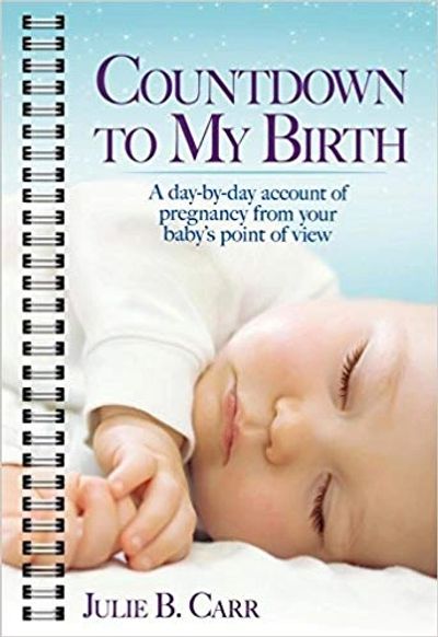 Countdown to My Birth: A day-by-day account of pregnancy from your baby's point of view. Written by 