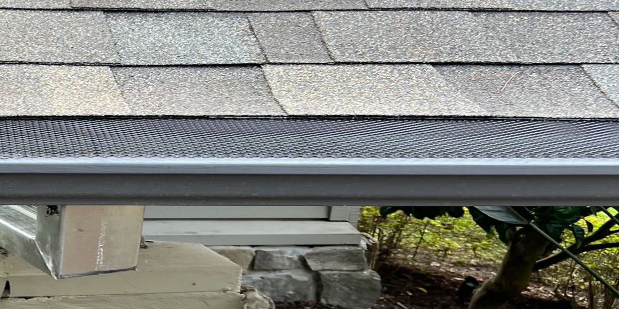 Gutter guard