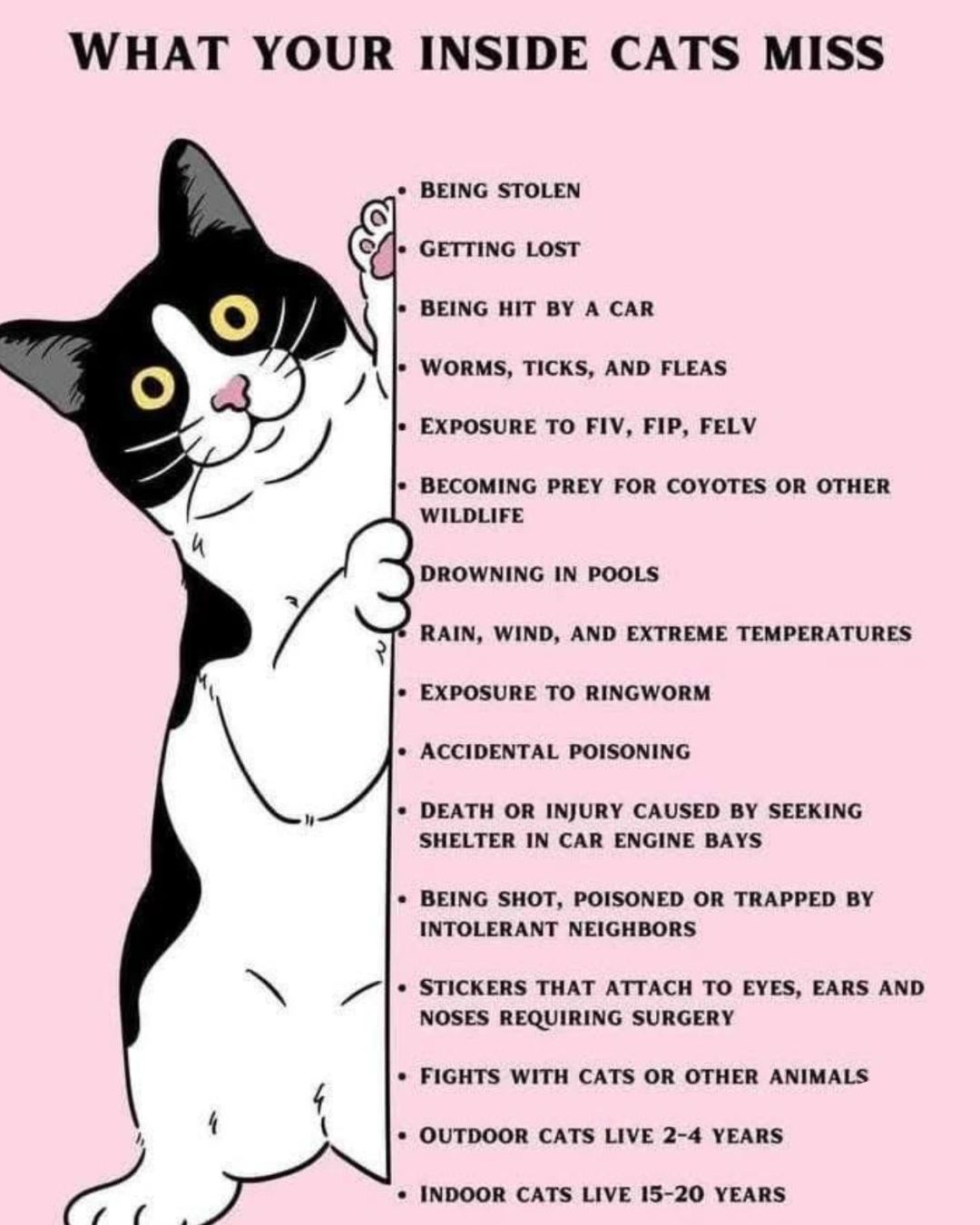 Keep Cats Inside if you love them
