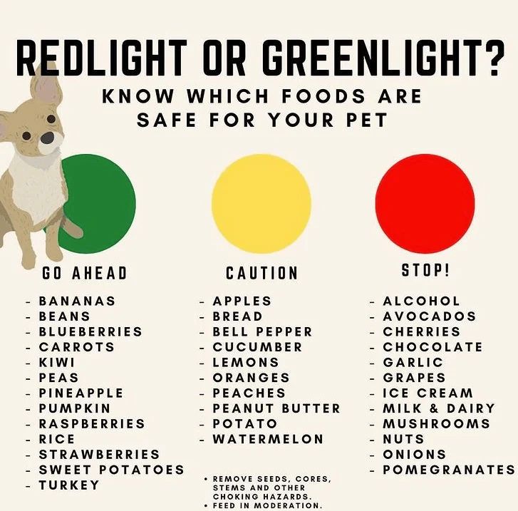 A list of foods ok to give pets