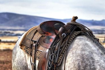 Rein It In Brand saddle on horse in the foothills