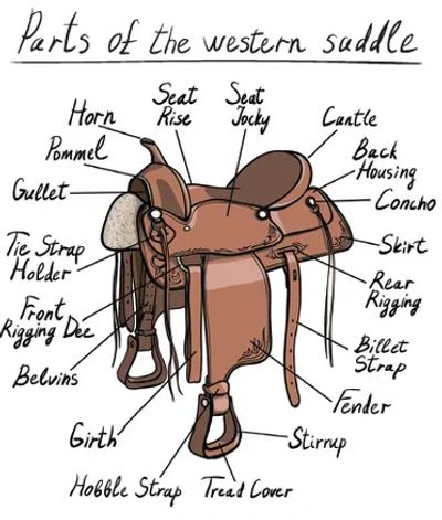 Parts of the Western Saddle
