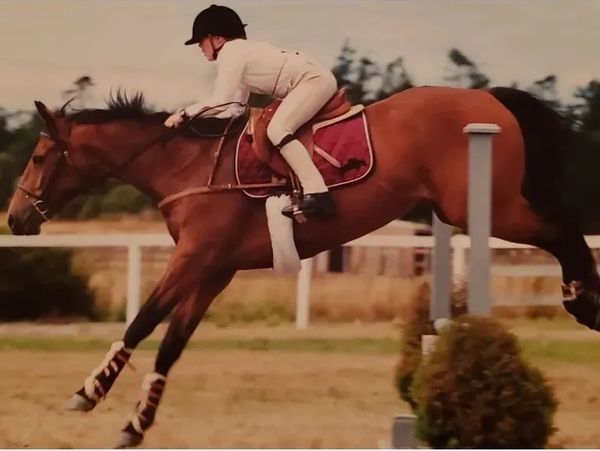 Equestrian rider jumping a horse over an obstacle during a competition.