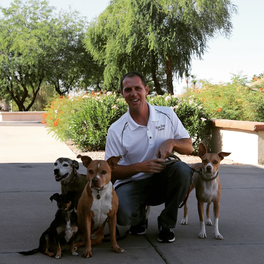 dog trainer with dogs