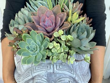 Succulents Arrangements by MomZee Jen