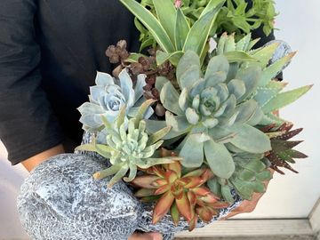 Succulents Arrangements by MomZee Jen