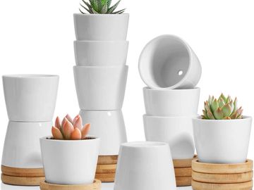 Succulents Event Favors/Giveaways by MomZee Jen