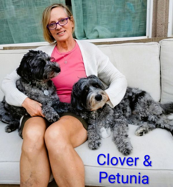 Woman sitting on a couch with two black and gray dogs named Clover and Petunia.
