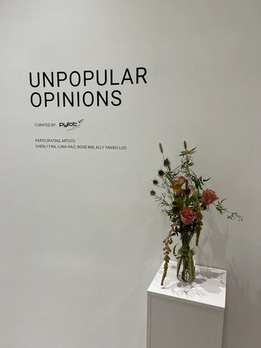 Unpopular Opinions Wall Text.