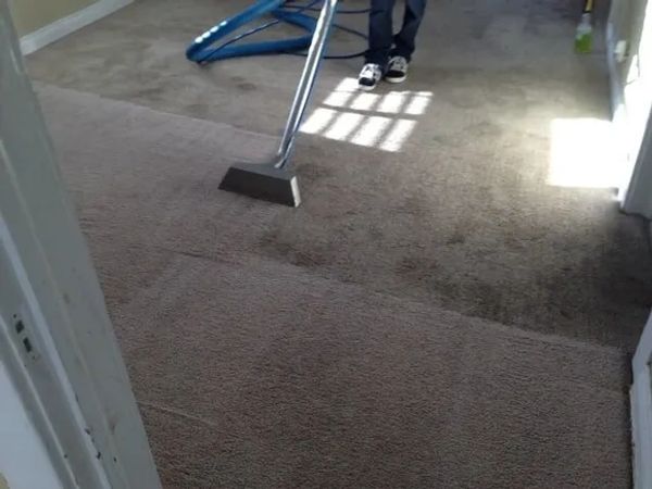 Expert carpet cleaning in Twin Falls Idaho