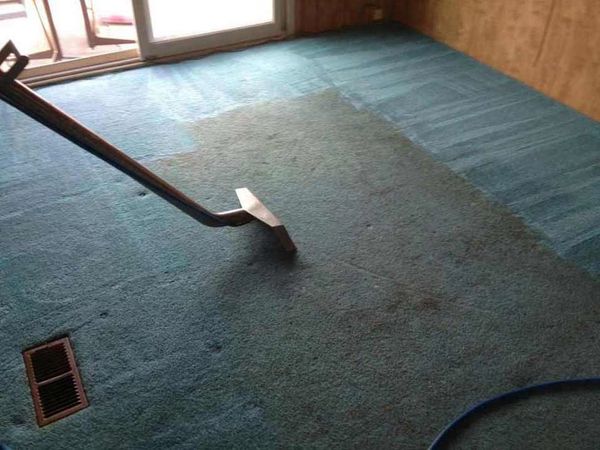 Carpet cleaner in Twin Falls Idaho