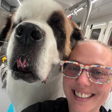 A happy woman with colorful glasses takes a selfie with a large Saint Bernard dog.