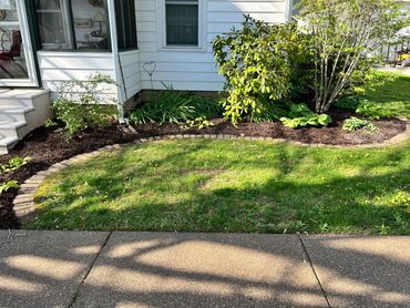 A garden bed with various shrubs and plants beside a white house.