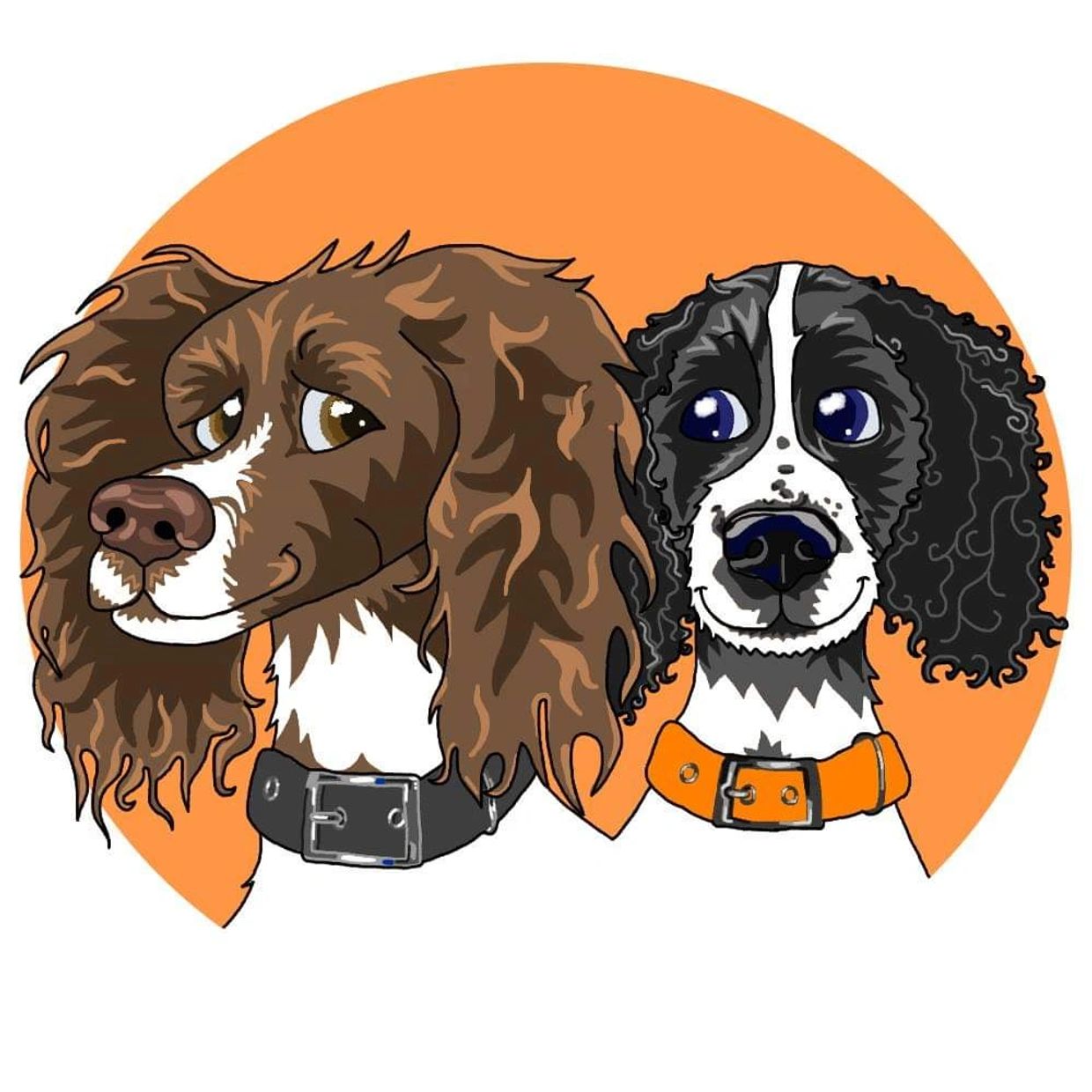 Olly and Mac, our 2 spaniels and our inspiration for our logo