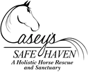 Casey's Safe Haven Holistic Horse Rescue