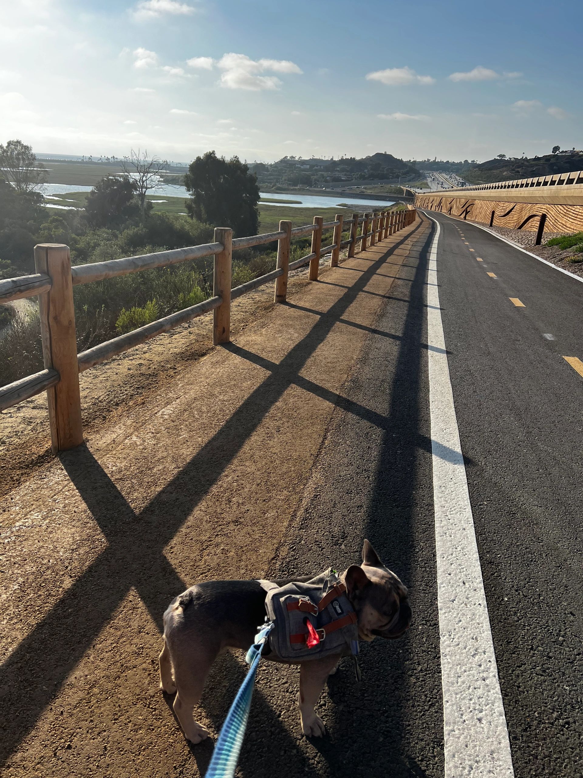 The adventurous Ollie at Solona lagoon!