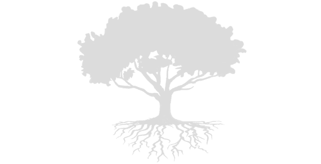 Rooted Chiropractic and Wellness