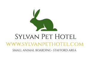 Green Rabbit is our logo.  Clean and Contemporary design.  Stafford based business.