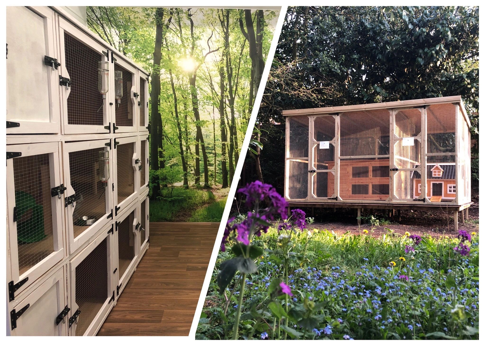 Recent VIP guests The sylvan small animal pet hotel