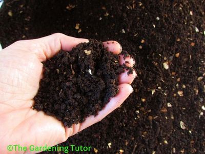 Rich, dark brown color of Worm Castings used for mulch or amendment