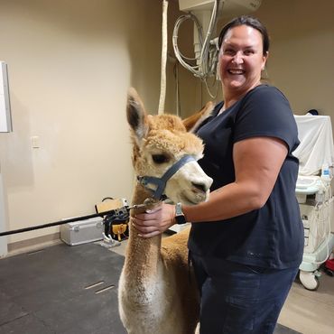 Katherine has work at Comstock Equine Hospital for over 4 years as a Veterinary Assistant.