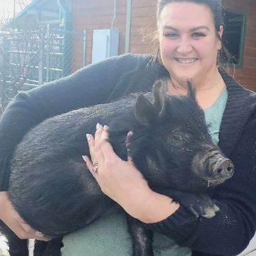 Katherine has a passion for mini pigs and has rescued over a dozen. She currently has 10 in her care
