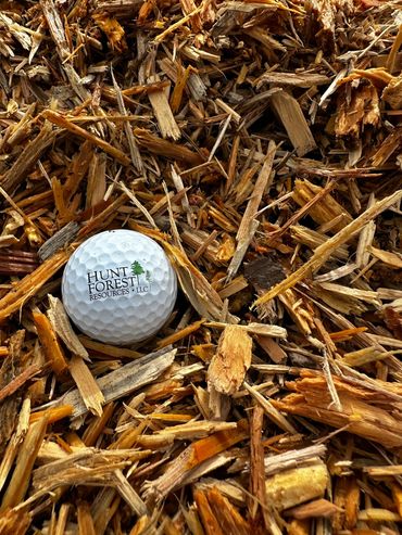 Clean Pine Grindings