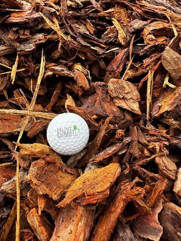 Pine Bark Mini Nuggets