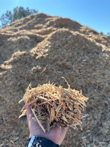 Clean Pine Grindings