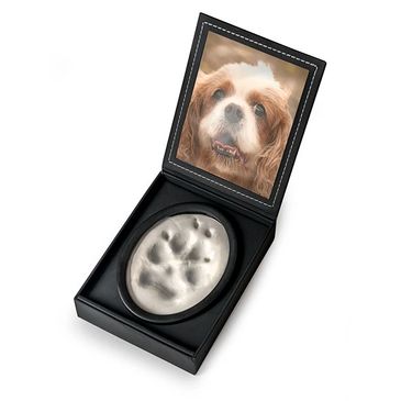 A pet paw print keepsake with a dog's photo in a black box.