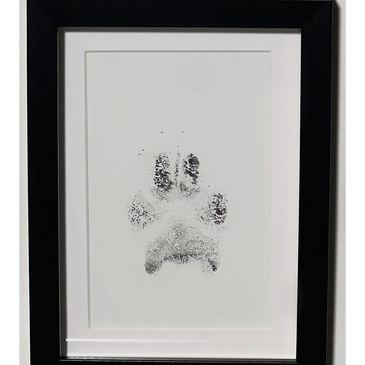 Framed black and white print of a paw print on white paper.