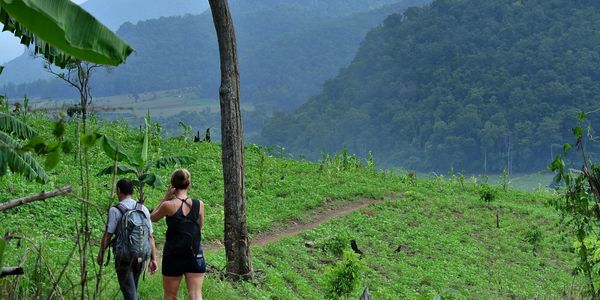 Hiking and trekking tours in the Mae Taeng and Chiang Dao highlands