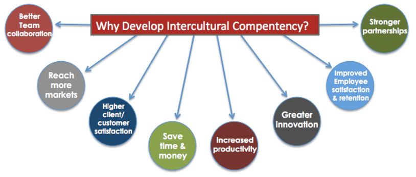 Develop Intercultural Competency developper des compétences interculturelles cross-culturel