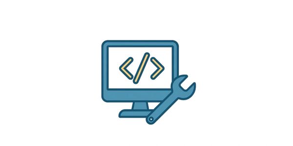 NetSuite development