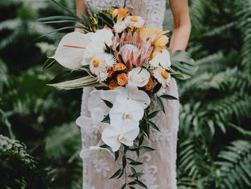 Cascade bridal bouquet with orchids, anthurium, and king protea. Tropical bouquet.