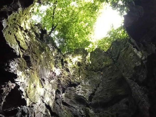 The Bat Cave in Bukit Lawang, Sumatra, Indonesia