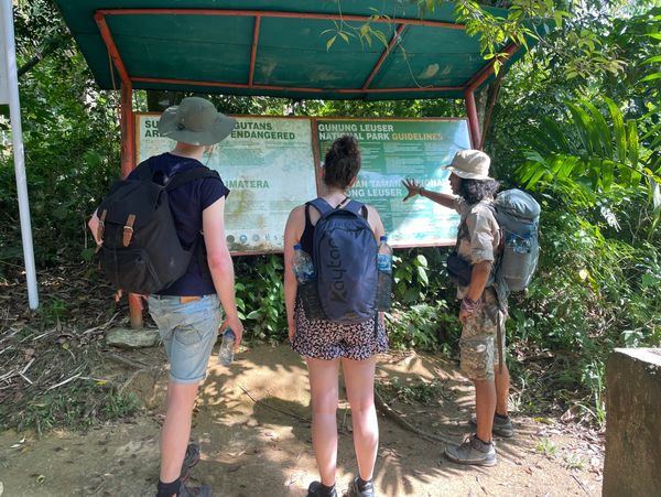 Guide Jojo explaining the jungle rules