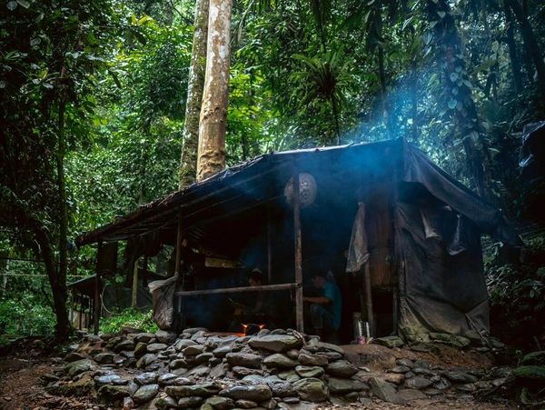 Campsite while jungle trekking in Bukit Lawang