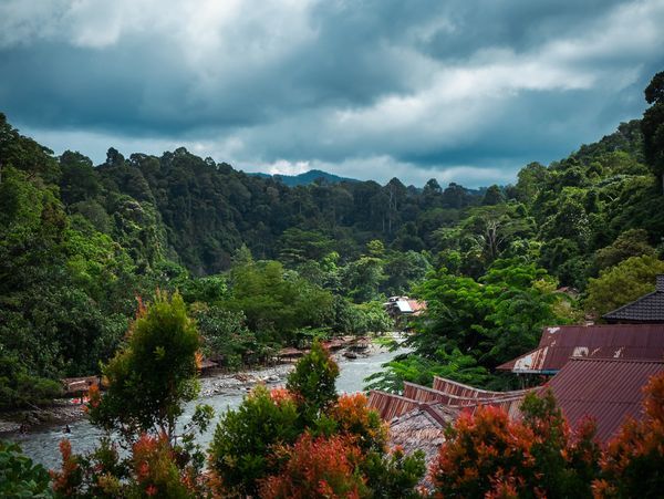 Riverside village of Bukit Lawang