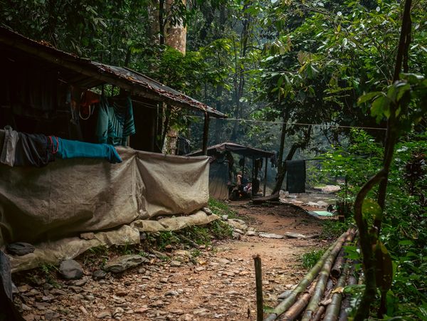Campsite in the jungle of Sumatra