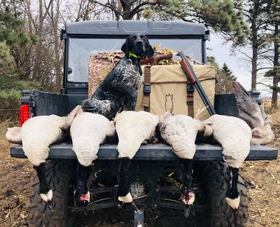 Standing Stones Bad Medicine JH NAI UTII "Jovi"