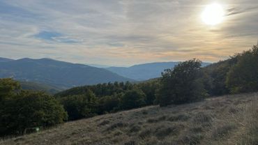 Sunset over a mountainous landscape with trees and grassy slopes.