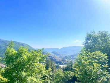 Clear blue sky over lush green trees and mountains.