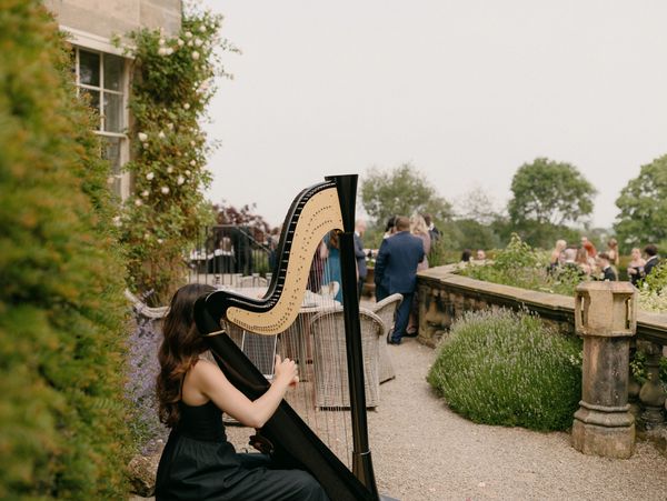 Wedding Harpist