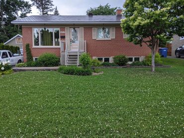 Paysagement avec trèfle