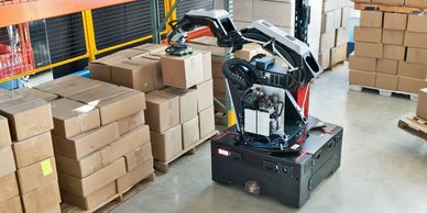 Boston Dynamics Mobile Manipulator Arms