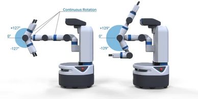 Fetch Mobile Manipulator Arms