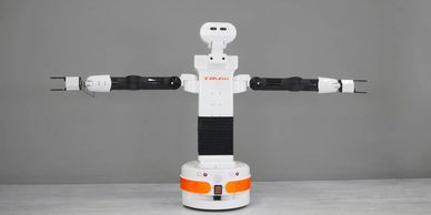 PAL RoboticsMobile Manipulator Arms