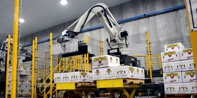 Robotic arm automating box stacking in a modern warehouse.