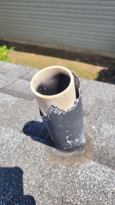 Squirrel damage on a pipe stack